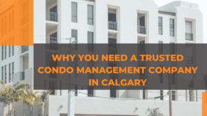 Why You Need a Trusted Condo Management Company in Calgary